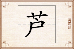 芦怎么写